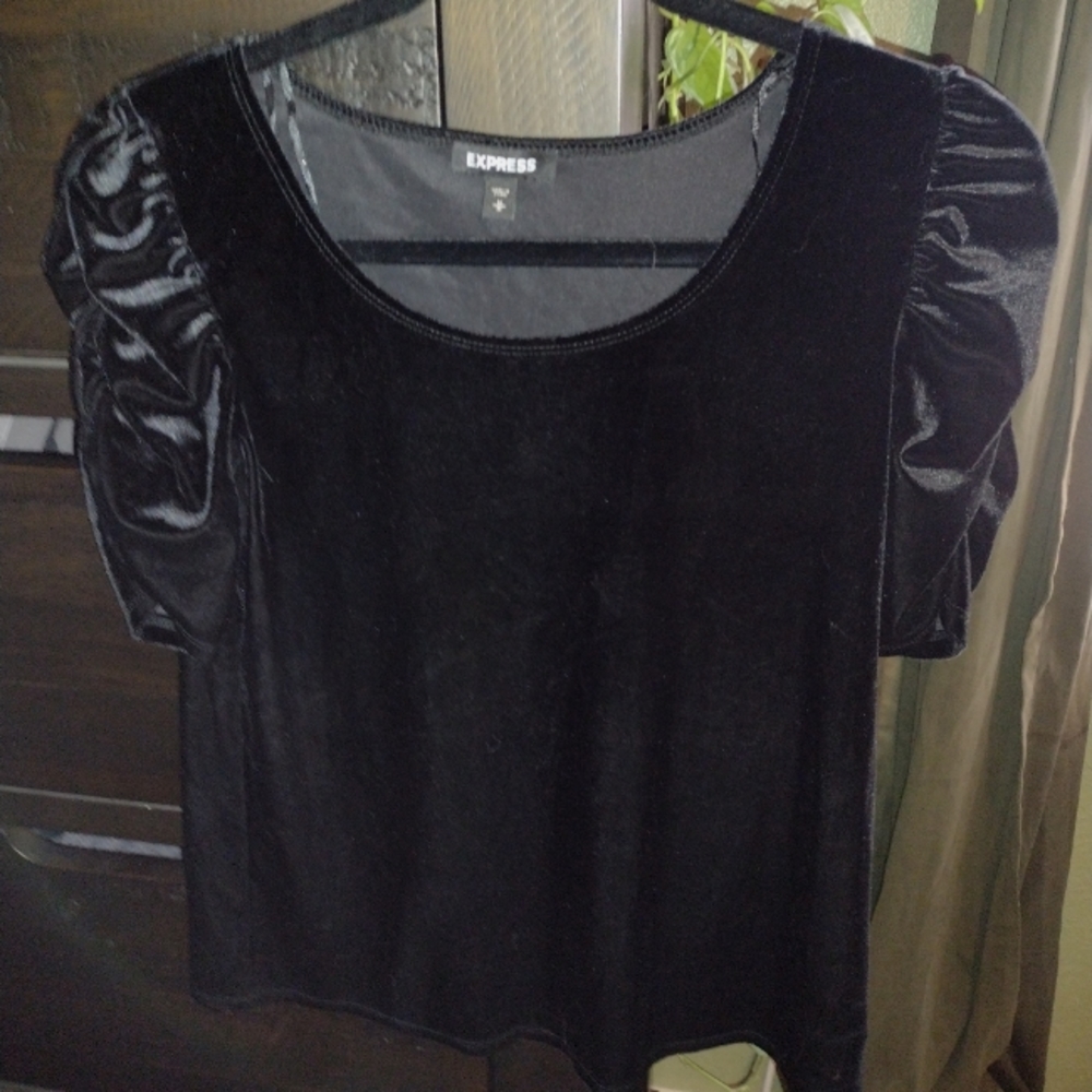 Express velvet blouse